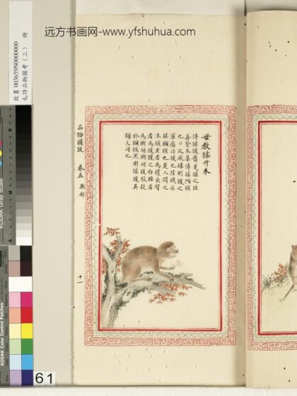 毛诗品物图考（三）册 毋教猱升木 2.jpg