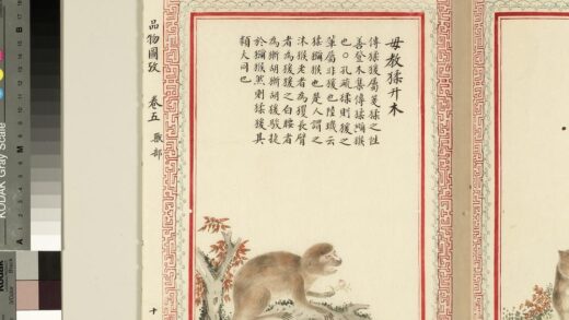 毛诗品物图考（三）册 毋教猱升木 2.jpg