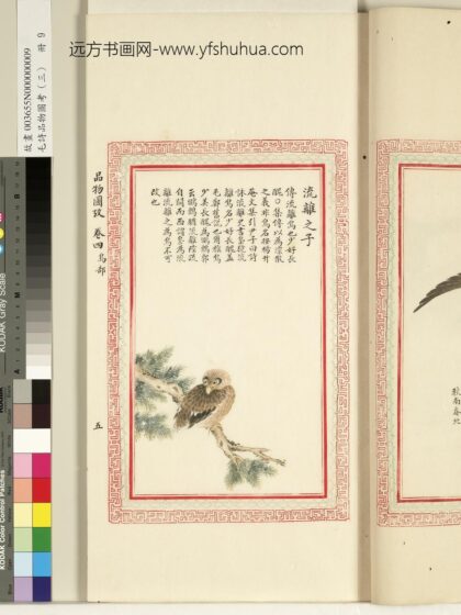 毛诗品物图考（三）册 流离之子 1.jpg