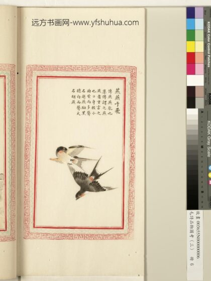 毛诗品物图考（三）册 燕燕于飞 1.jpg
