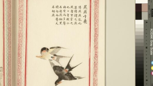 毛诗品物图考（三）册 燕燕于飞 1.jpg