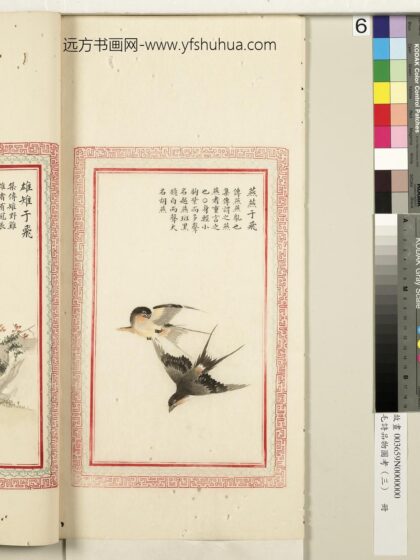 毛诗品物图考（三）册 燕燕于飞 2.jpg