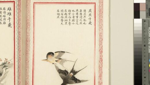 毛诗品物图考（三）册 燕燕于飞 2.jpg