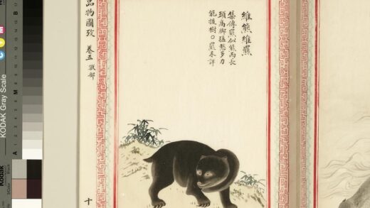 毛诗品物图考（三）册 维熊维罴 1.jpg