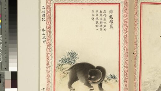 毛诗品物图考（三）册 维熊维罴 2.jpg