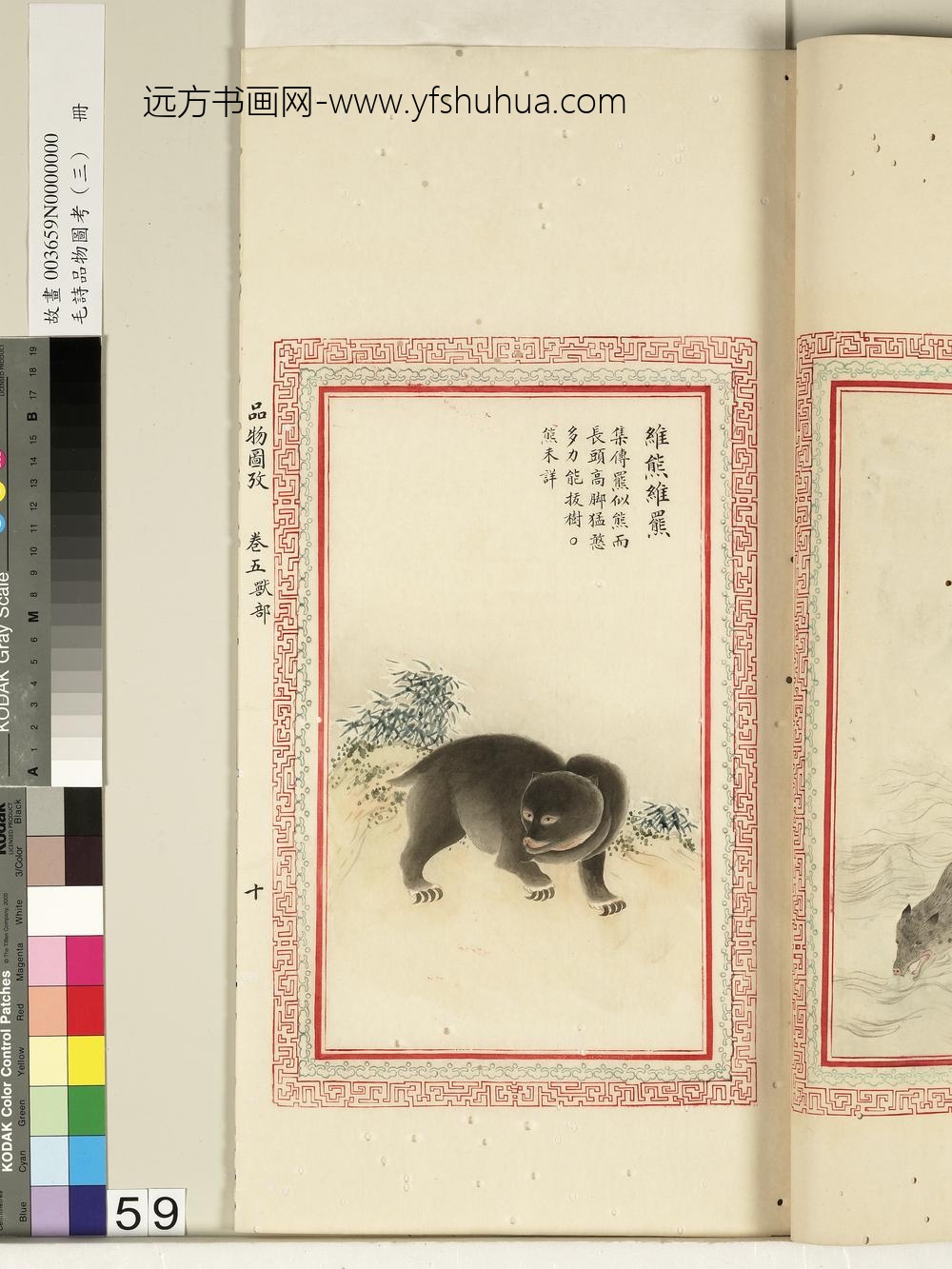 毛诗品物图考（三）册-维熊维罴-