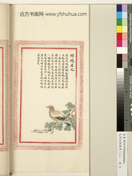 毛诗品物图考（三）册 维鸠居之 1.jpg