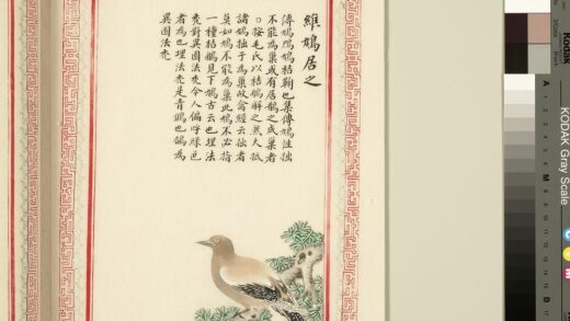 毛诗品物图考（三）册 维鸠居之 1.jpg