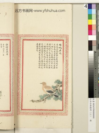 毛诗品物图考（三）册 维鸠居之 2.jpg