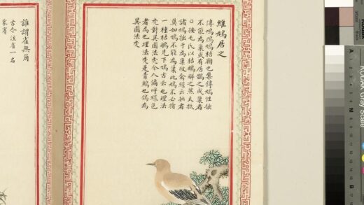 毛诗品物图考（三）册 维鸠居之 2.jpg