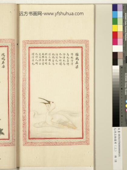 毛诗品物图考（三）册 维鹈在梁 1.jpg