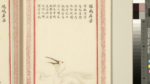 毛诗品物图考（三）册 维鹈在梁 1.jpg