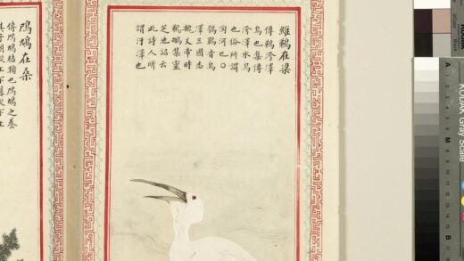 毛诗品物图考（三）册 维鹈在梁 2.jpg