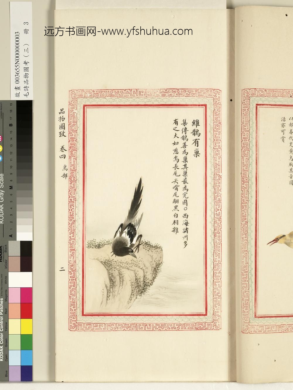 毛诗品物图考（三）册-维鹊有巢-