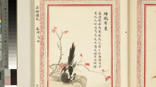 毛诗品物图考（三）册 维鹊有巢 2.jpg