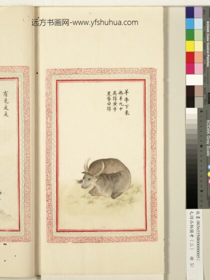 毛诗品物图考（三）册 羊牛下来 1.jpg