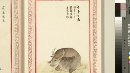 毛诗品物图考（三）册 羊牛下来 1.jpg