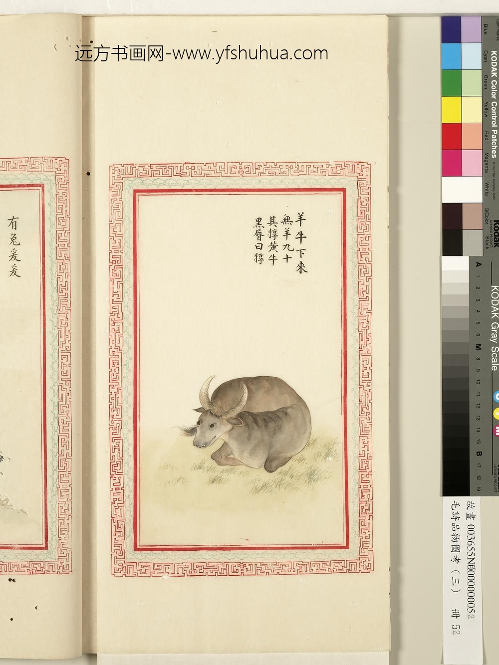 毛诗品物图考（三）册-羊牛下来-