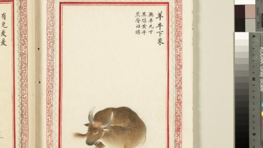 毛诗品物图考（三）册 羊牛下来 2.jpg
