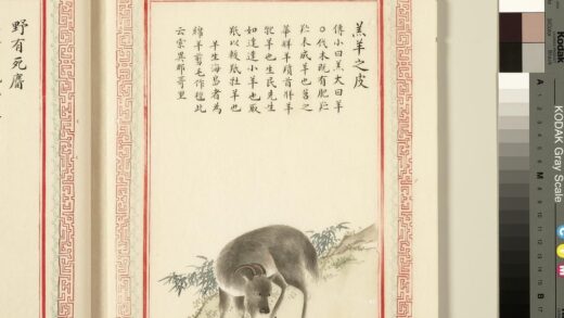 毛诗品物图考（三）册 羔羊之皮 1.jpg