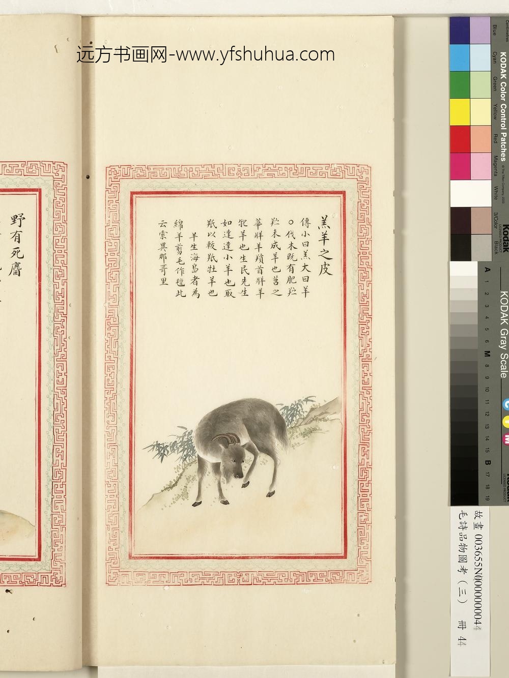 毛诗品物图考（三）册-羔羊之皮-