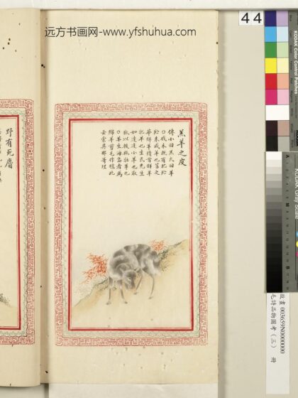 毛诗品物图考（三）册 羔羊之皮 2.jpg