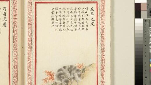 毛诗品物图考（三）册 羔羊之皮 2.jpg