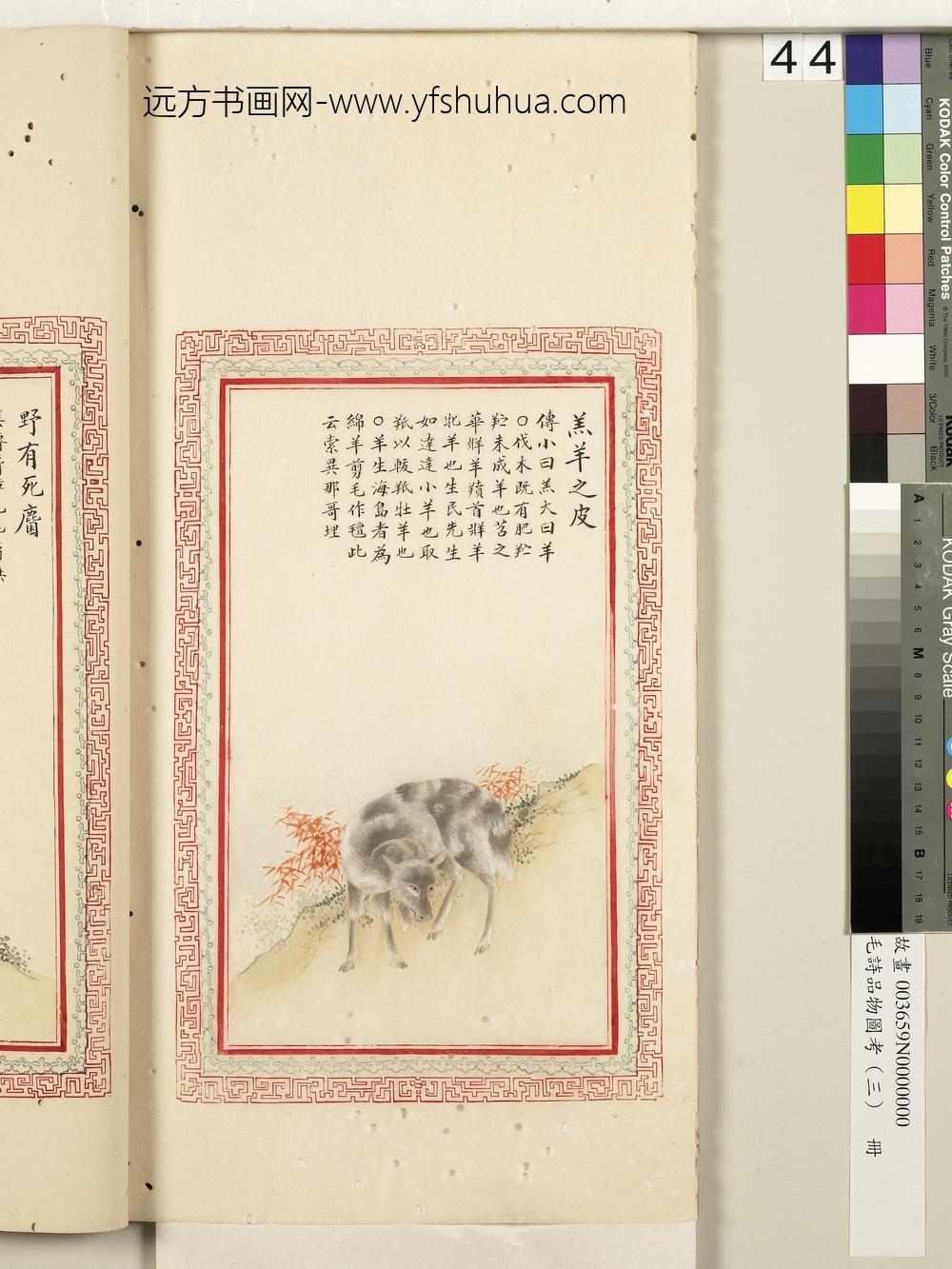 毛诗品物图考（三）册-羔羊之皮-