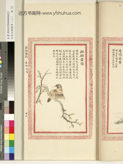 毛诗品物图考（三）册 翩翩者鵻 1.jpg