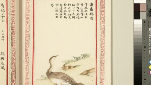 毛诗品物图考（三）册 肃肃鸨羽 1.jpg