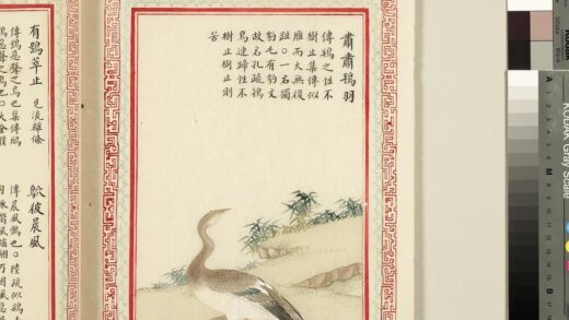 毛诗品物图考（三）册 肃肃鸨羽 2.jpg