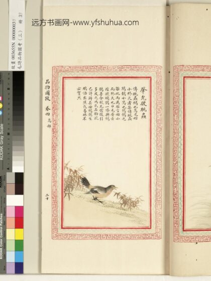 毛诗品物图考（三）册 肇允彼桃虫 1.jpg