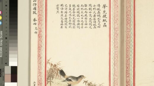 毛诗品物图考（三）册 肇允彼桃虫 1.jpg
