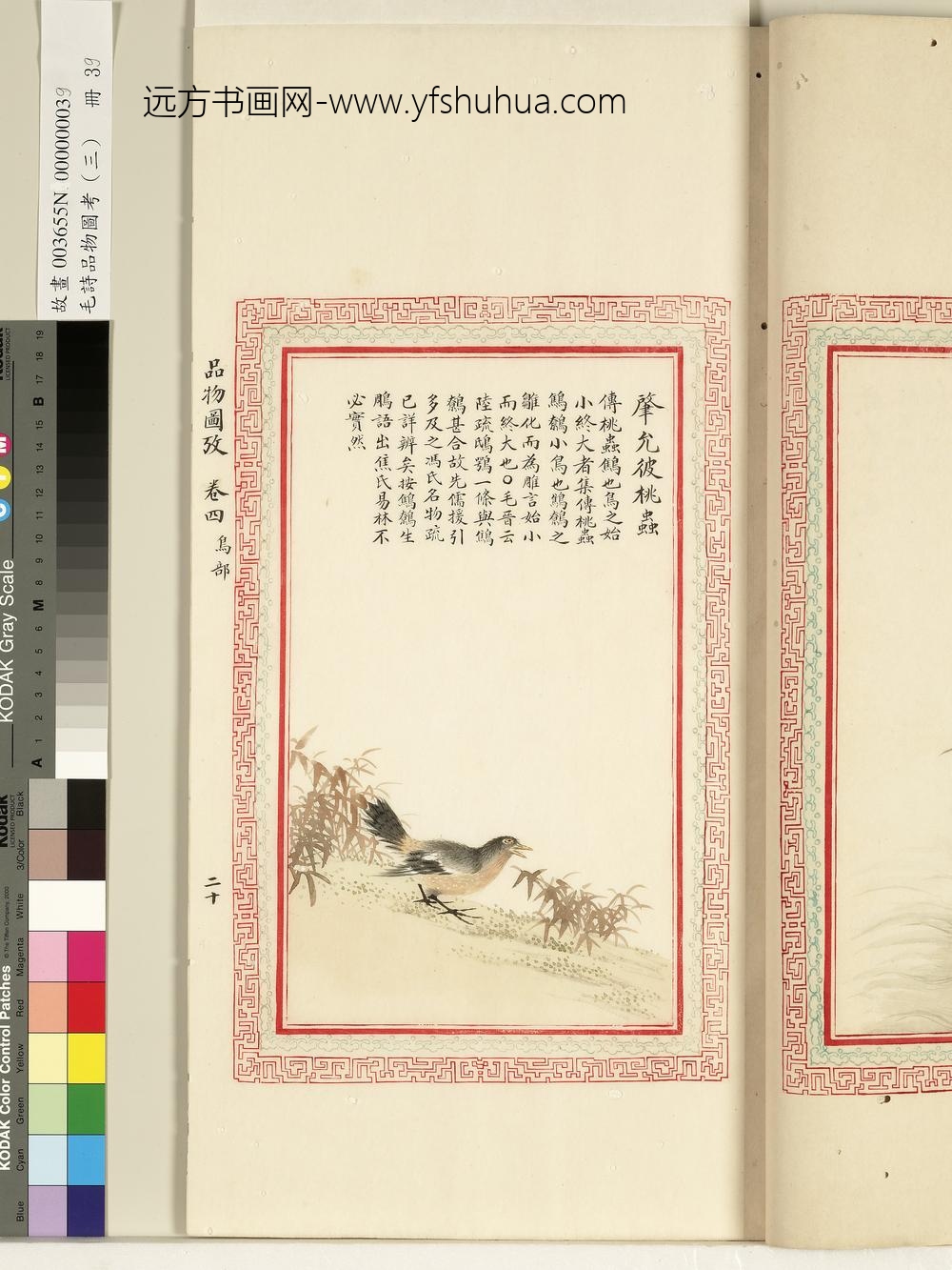 毛诗品物图考（三）册-肇允彼桃虫-