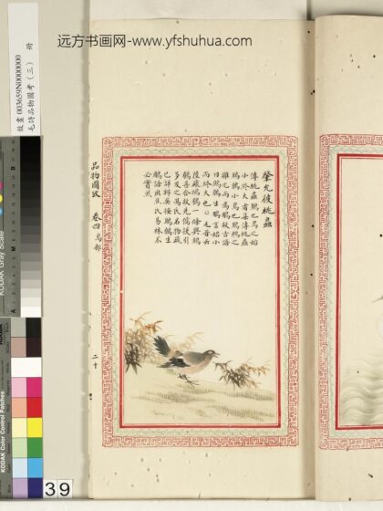 毛诗品物图考（三）册 肇允彼桃虫 2.jpg