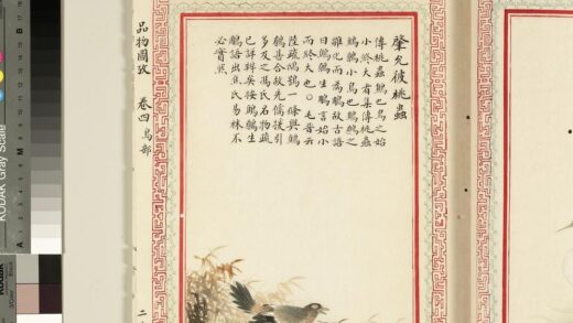 毛诗品物图考（三）册 肇允彼桃虫 2.jpg