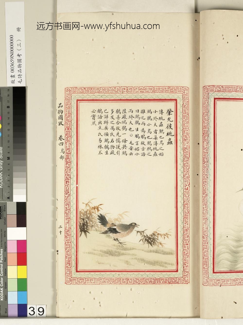 毛诗品物图考（三）册-肇允彼桃虫-