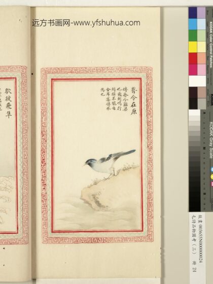 毛诗品物图考（三）册 脊令在原 1.jpg