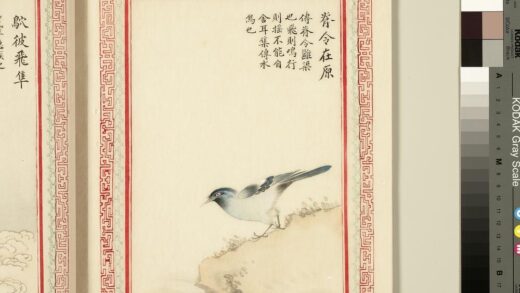 毛诗品物图考（三）册 脊令在原 1.jpg