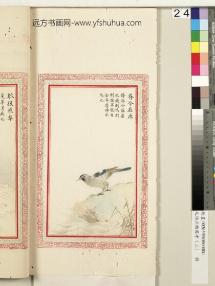 毛诗品物图考（三）册 脊令在原 2.jpg