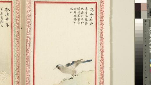 毛诗品物图考（三）册 脊令在原 2.jpg