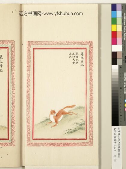 毛诗品物图考（三）册 莫赤匪狐 1.jpg