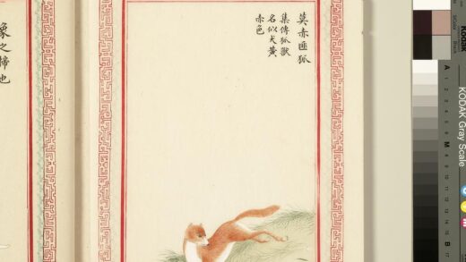 毛诗品物图考（三）册 莫赤匪狐 1.jpg