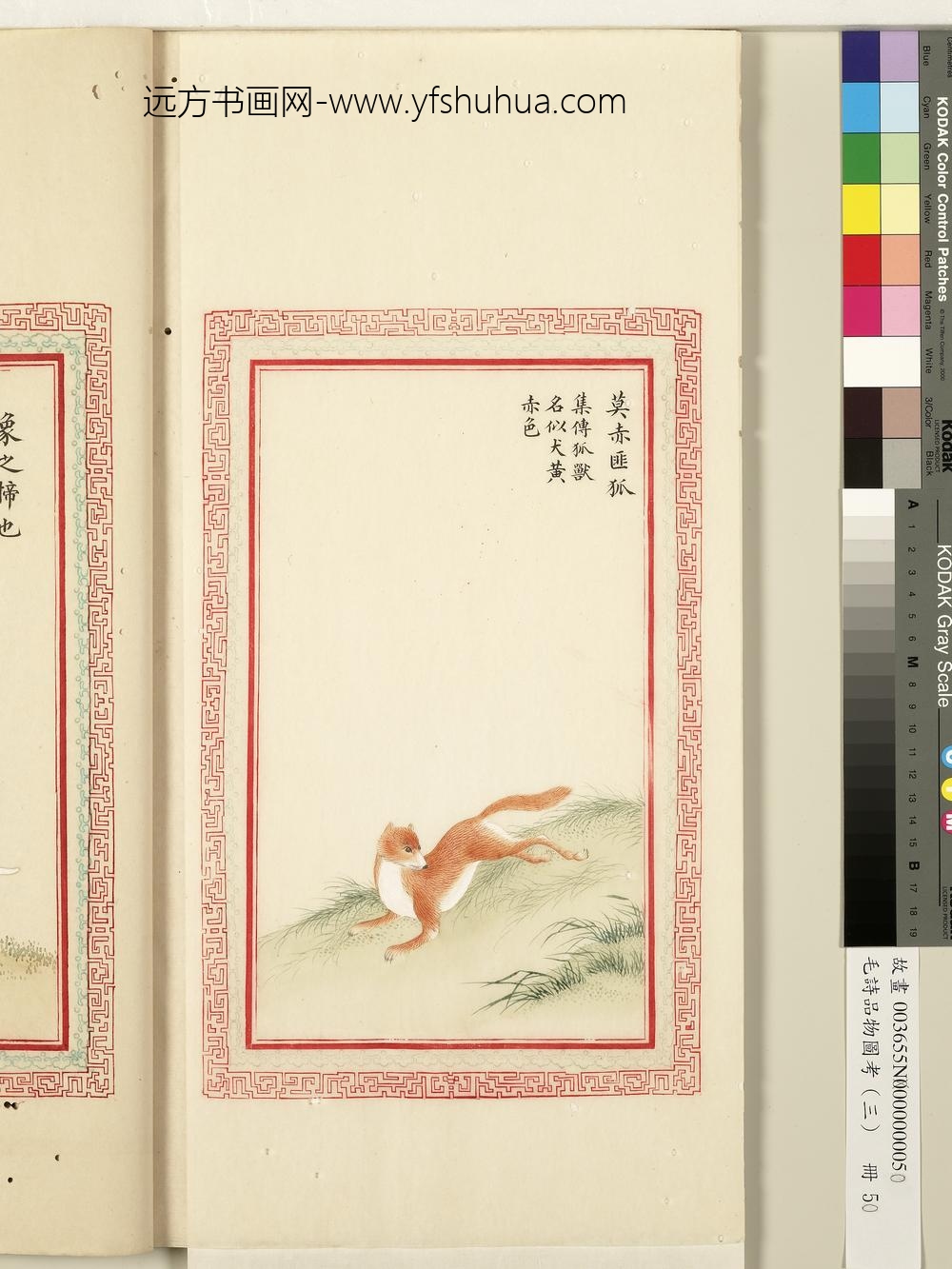 毛诗品物图考（三）册-莫赤匪狐-