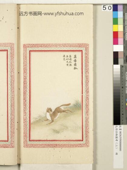 毛诗品物图考（三）册 莫赤匪狐 2.jpg