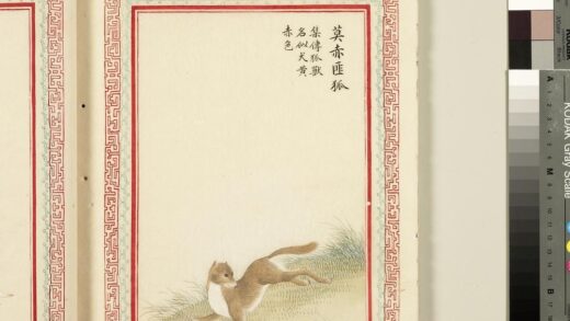 毛诗品物图考（三）册 莫赤匪狐 2.jpg