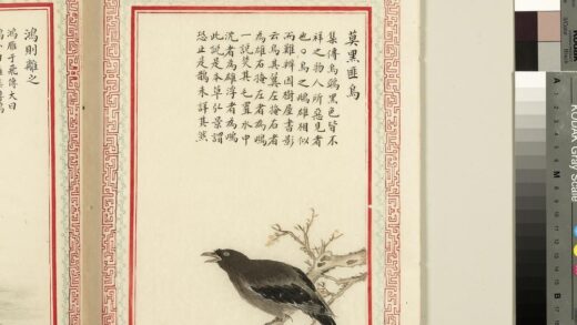 毛诗品物图考（三）册 莫黑匪乌 2.jpg
