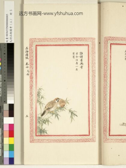 毛诗品物图考（三）册 谁谓雀无牙.jpg