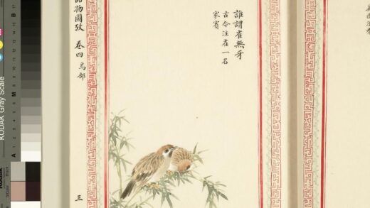 毛诗品物图考（三）册 谁谓雀无牙.jpg