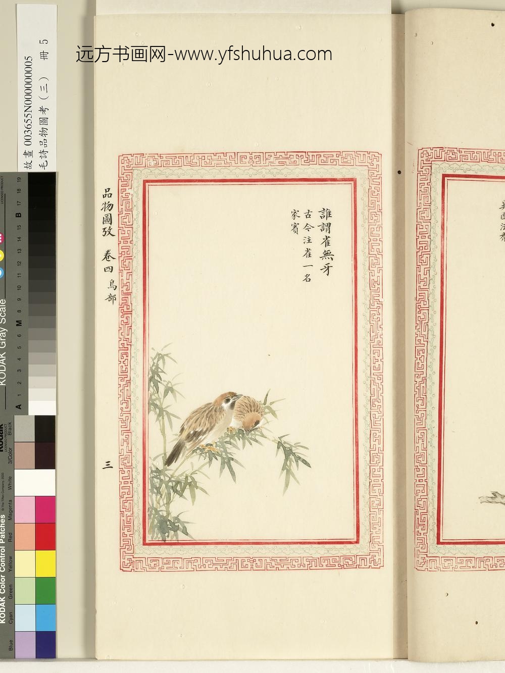 毛诗品物图考（三）册-谁谓雀无牙